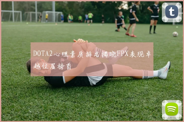 DOTA2心理素质排名揭晓FPX表现卓越位居榜首