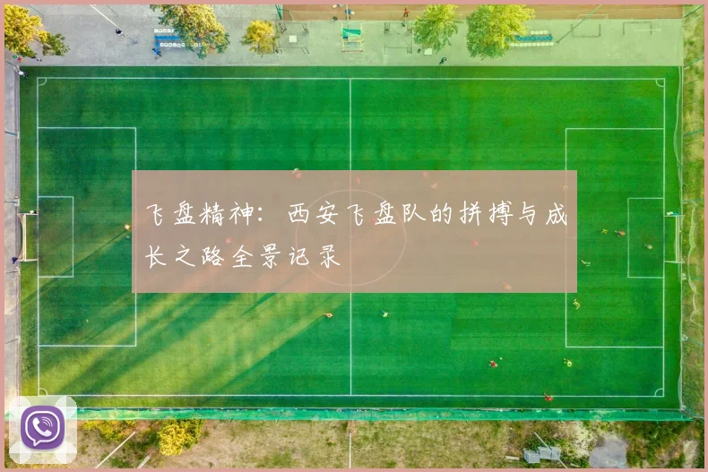 飞盘精神：西安飞盘队的拼搏与成长之路全景记录